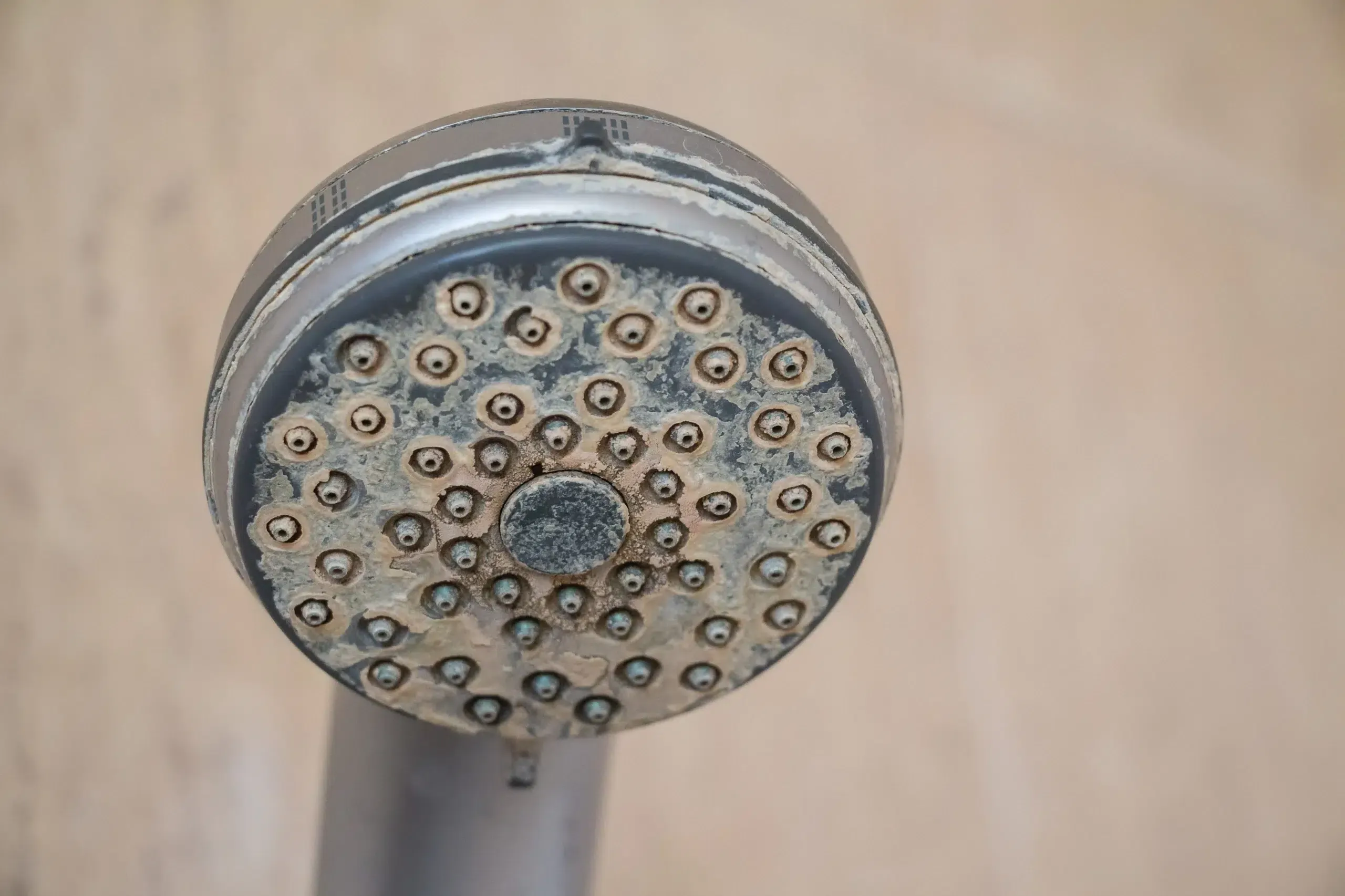 Mineral buildup on showerhead caused by hard water, showing the need for water softener services.