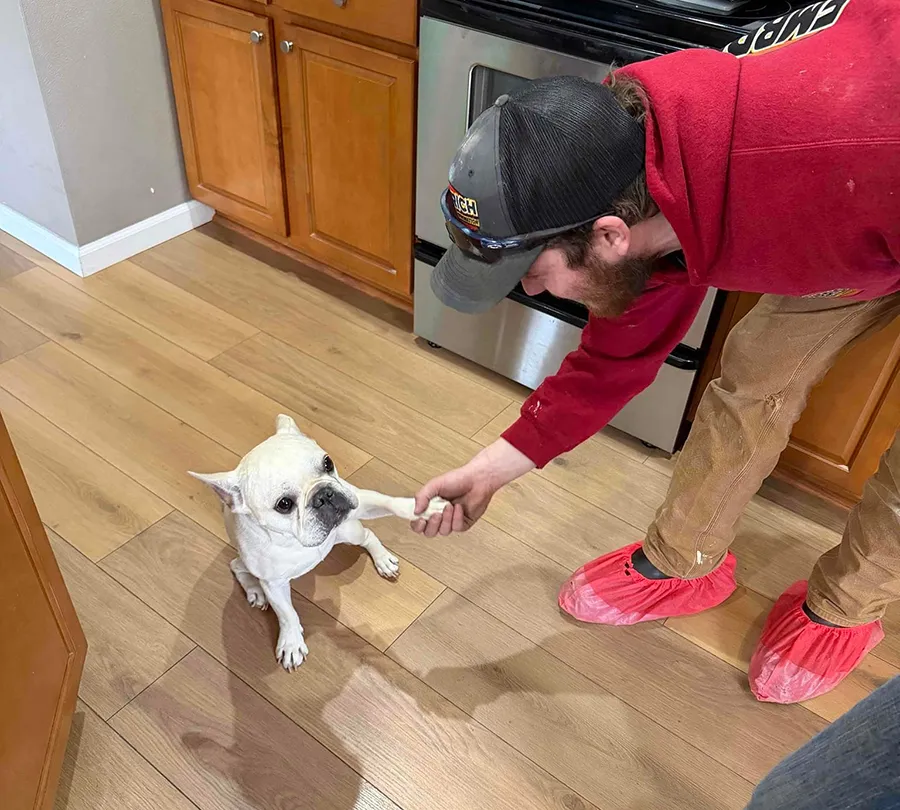 Embrich service expert shaking hands with french bull dog